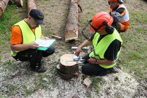 (Kuva: Tommi Hakala/Viestilehdet)
